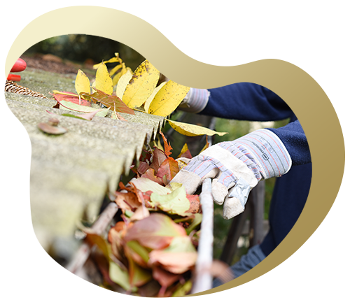 person cleaning leaves from gutter using gloves in autumn season with yellow leaves