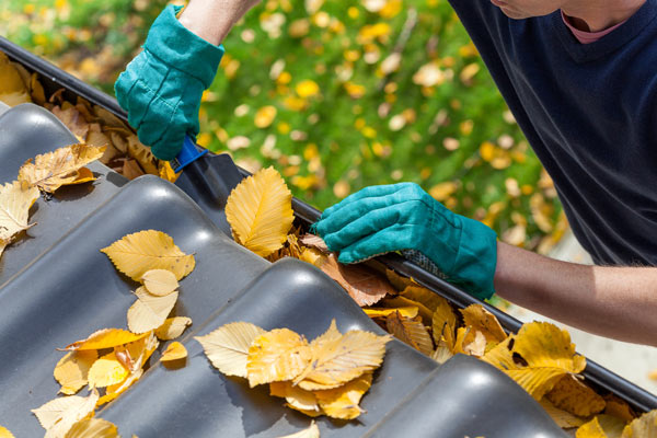 A person wearing green gloves cleaning fallen leaves from a roof gutter with a tool on a sunny day, surrounded by autumn foliage.