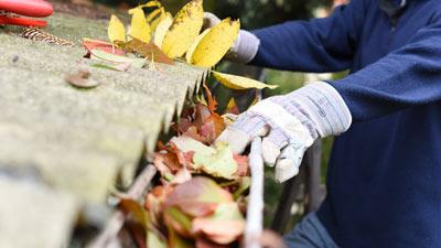 person cleaning leaves from a gutter using gloves for gardening and maintenance of home outdoor area